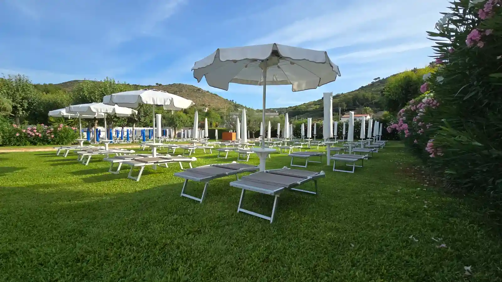 Prato all'inglese con ombrelloni al sole - Ariana Beach Garden