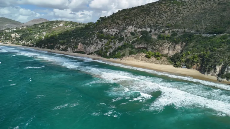 Immagine della spiaggia dell'arenauta