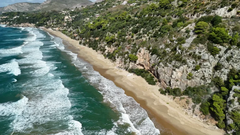 Immagine della spiaggia dell'arenauta