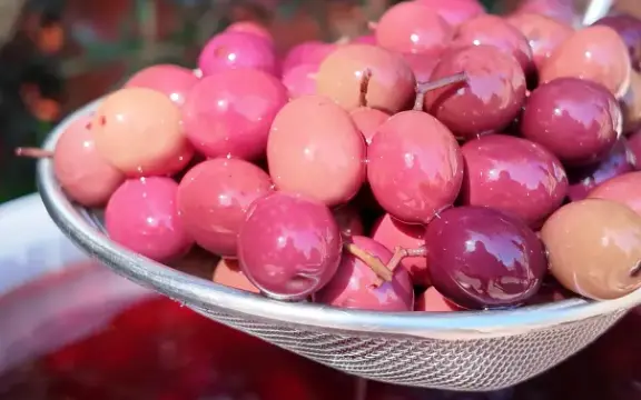 Olive Nere di Gaeta: Storia, Origini e Caratteristiche di un’Eccellenza Locale