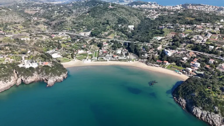 Immagine della spiaggia dell'arenauta