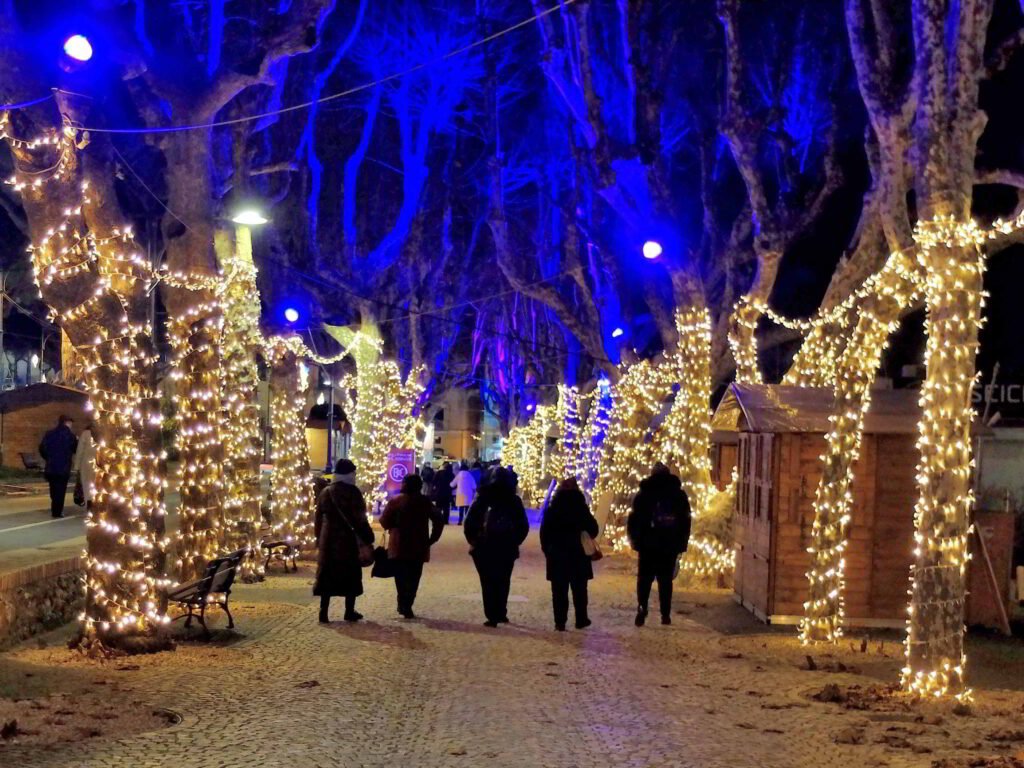 The tree-lined avenue illuminated during Favole di Luce in Gaeta