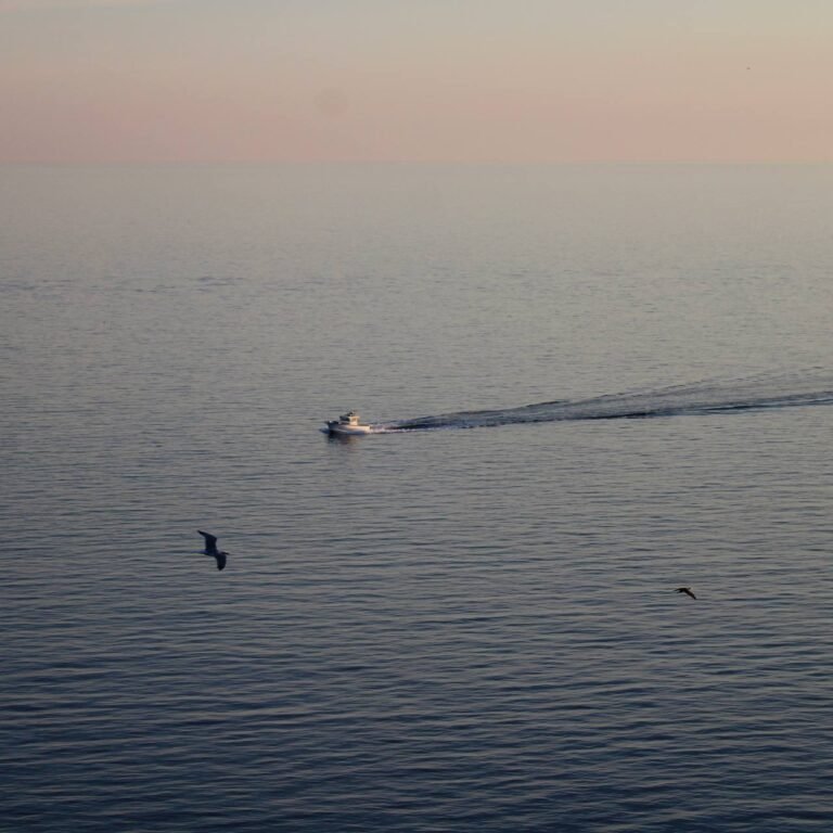 photo_2025-12-15_16-16-18 (2)