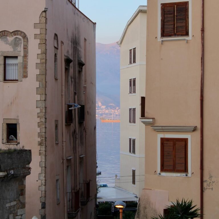 photo_2025-12-15_16-16-19