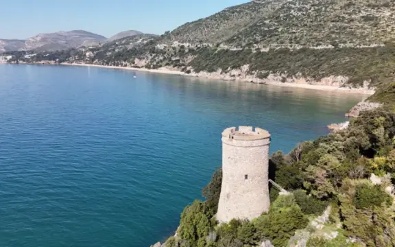Torre Scissure