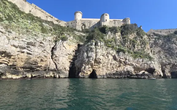 Stai usando Enea come Google. E ti stai perdendo il meglio